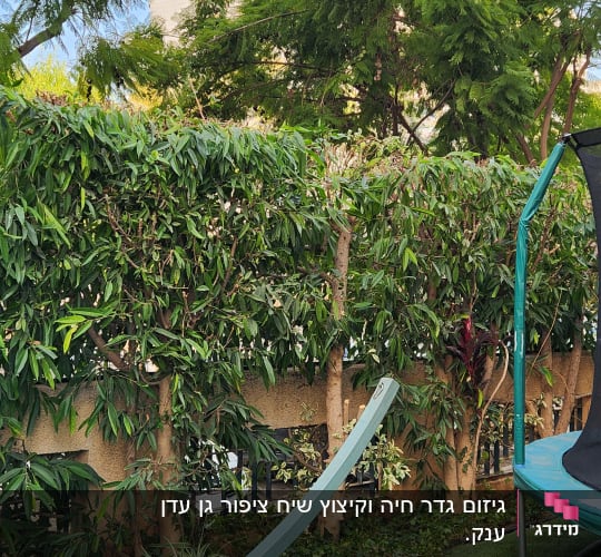 שיחים ירוקים ועצים בגינה עם דשא מלאכותי